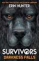 Survivors Book 3: Darkness Falls