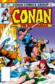 Conan The Barbarian: The Original Comics Omnibus Vol.6