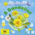 A Dandelion