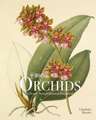 RHS Orchids