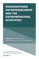 Disadvantaged Entrepreneurship and the Entrepreneurial Ecosystem