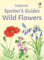 Spotter's Guides: Wild Flowers