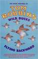 WILD DUCKS FLYING BACKWARD