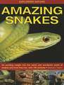 Exploring Nature: An Exciting Insight Into the Weird and Wonderful World of Snakes and How They Live, with 190 Pictures