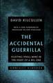 The Accidental Guerrilla: Fighting Small Wars in the Midst of a Big One