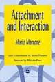 Attachment and Interaction