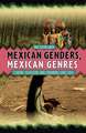 Mexican Genders, Mexican Genres – Cinema, Television, and Streaming Since 2010