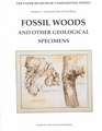 The Paper Museum of Cassiano Dal Pozzo: Fossil Woods and Other Geological Specimens