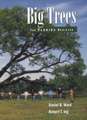 Big Trees