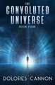 The Convoluted Universe Book IV