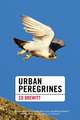 Urban Peregrines