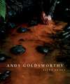 Andy Goldsworthy
