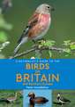 A Naturalist's Guide to the Birds of Britain and Northern Europe (2nd edition)