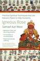 Igneous Rose: The Magic, Sexual Energy, and Mind of the Inner Buddha