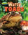 Warty Toads