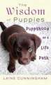 The Wisdom of Puppies: Puppyhood as a Life Path