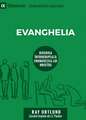 The Gospel / Evanghelia