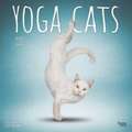 Yoga Cats - Yoga-Katzen 2025 - 16-Monatskalender