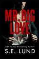 Mr. Big Love: The Mr. Big Series: Book Two