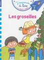 Les Groseilles