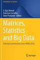Matrices, Statistics and Big Data: Selected Contributions from IWMS 2016