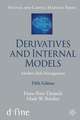 Derivatives and Internal Models: Modern Risk Management