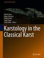 Karstology in the Classical Karst