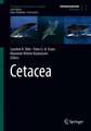 Cetacea