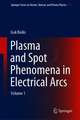 Plasma and Spot Phenomena in Electrical Arcs