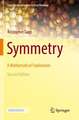 Symmetry: A Mathematical Exploration