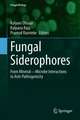 Fungal Siderophores: From Mineral―Microbe Interactions to Anti-Pathogenicity