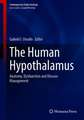 The Human Hypothalamus: Anatomy, Dysfunction and Disease Management