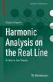 Harmonic Analysis on the Real Line: A Path in the Theory