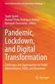 Pandemic, Lockdown, and Digital Transformation: Challenges and Opportunities for Public Administration, NGOs, and Businesses