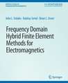 Frequency Domain Hybrid Finite Element Methods in Electromagnetics