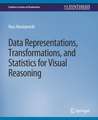 Data Representations, Transformations, and Statistics for Visual Reasoning