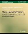 Waves in Biomechanics: THz Vibrations and Modal Analysis in Proteins and Macromolecular Structures