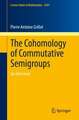 The Cohomology of Commutative Semigroups: An Overview