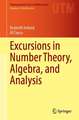 Excursions in Number Theory, Algebra, and Analysis