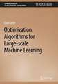 Optimization Algorithms for Distributed Machine Learning