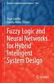 Fuzzy Logic and Neural Networks for Hybrid Intelligent System Design