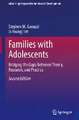 Families with Adolescents: Bridging the Gaps Between Theory, Research, and Practice