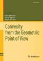 Convexity from the Geometric Point of View