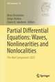 Partial Differential Equations: Waves, Nonlinearities and Nonlocalities