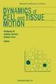 Dynamics of Cell and Tissue Motion