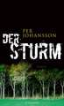 Der Sturm