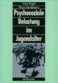 Psychosoziale Belastung im Jugendalter: Empirische Befunde zum Einfluss von Familie, Schule und Gleichaltrigengruppe