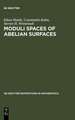 Moduli Spaces of Abelian Surfaces: Compactification, Degenerations and Theta Functions