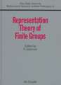 Representation Theory of Finite Groups: Proceedings of a Special Research Quarter at the Ohio State University, Spring 1995