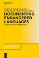 Documenting Endangered Languages: Achievements and Perspectives